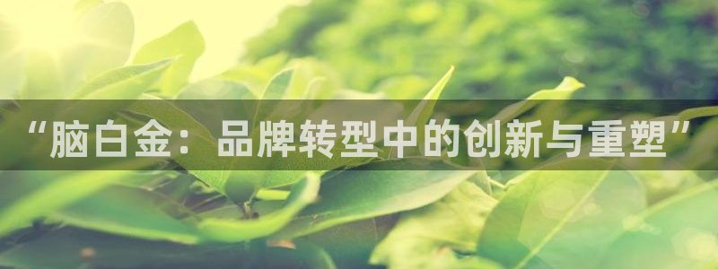 必赢亚赢网站官网下载