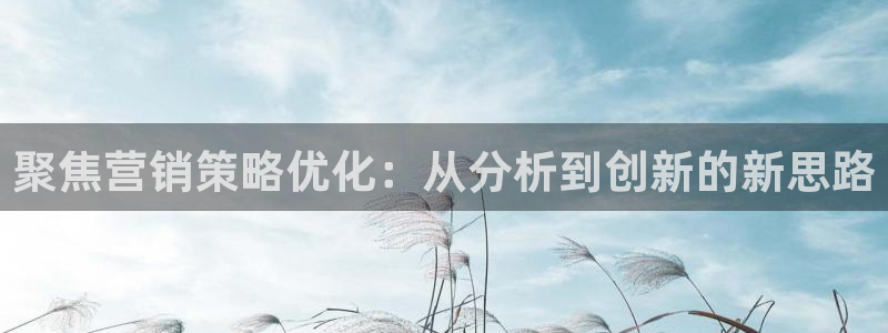 必赢官网入口下载