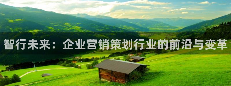 必赢565net官网网站