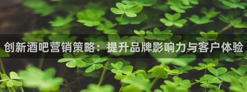 必赢国际437app下载