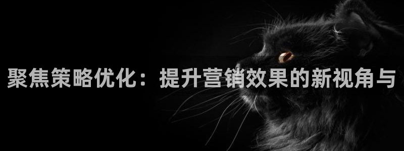 9965必赢棋官方网站怎么样