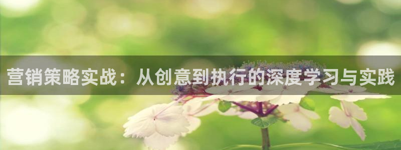 必赢下载