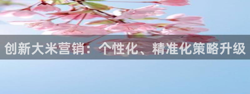 必赢网站有哪些：创新大米营销：