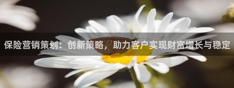 必赢下载软件：保险营销策划：创