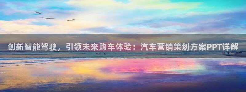 必赢565net官网