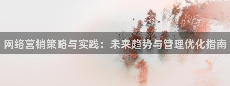 必赢公司是怎样的一家企业