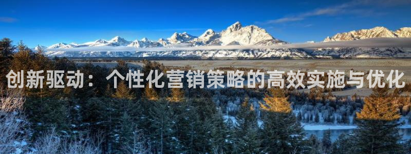 必赢国际官网登录