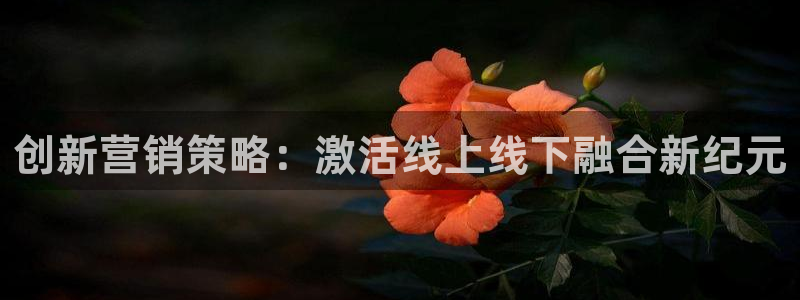 必赢平台官方网站